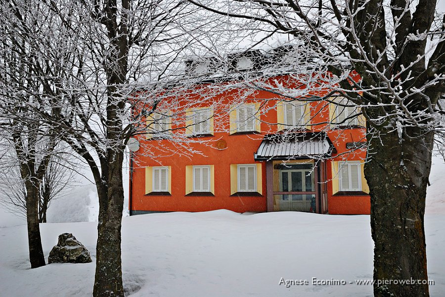 colori nella neve.jpg